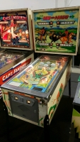 BOW & ARROW PINBALL MACHINE BALLY 1975 - 5