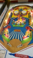 2001 PINBALL MACHINE GOTTLIEB 1971 - 6