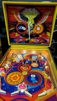 TIME 2000 WIDEBODY CLASSIC PINBALL MACHINE ATARI 1977 - 4