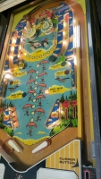 SKY KINGS CLASSIC PINBALL MACHINE BALLY 1974 - 3