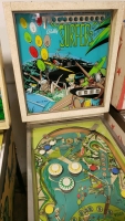 SURFERS CLASSIC PINBALL MACHINE BALLY 1967 - 3