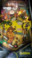 SPRING BREAK PINBALL MACHINE GOTTLIEB 1987 SYSTEM 80B - 5