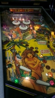 SPRING BREAK PINBALL MACHINE GOTTLIEB 1987 SYSTEM 80B - 6