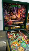 TEENAGE MUTANT NINJA TURTLES PINBALL MACHINE DATA EAST 1991 - 4