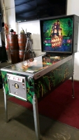 HAUNTED HOUSE PINBALL MACHINE GOTTLIEB 1982 - 5