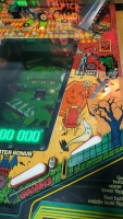 HAUNTED HOUSE PINBALL MACHINE GOTTLIEB 1982 - 11