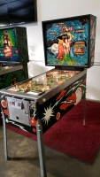 FLASH CLASSIC WILLIAMS PINBALL MACHINE 1978 - 3