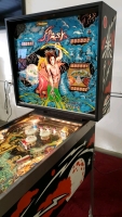 FLASH CLASSIC WILLIAMS PINBALL MACHINE 1978 - 4