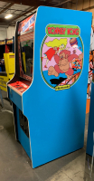 DONKEY KONG UPRIGHT ARCADE GAME NEW BUILD W/ LCD - 3