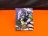 Dragon Ball FighterZ - CollectorZ Edition