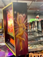 HIGH ROLLER CASINO PINBALL MACHINE STERN - 11