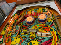 EYE OF THE TIGER E.M. PINBALL MACHINE GOTTLIEB 1978 - 10