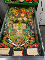 BIG GAME WIDE BODY CLASSIC STERN PINBALL MACHINE 1980 - 11