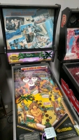 SPRING BREAK PINBALL MACHINE GOTTLIEB 1987 - 11