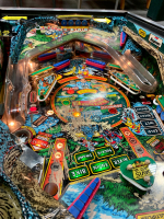 BLACKWATER 100 PINBALL MACHINE BALLY 1988 - 11