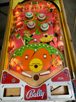 ZIP-A-DOO CLASSIC E.M. PINBALL MACHINE BALLY 1970 - 9