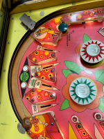 ZIP-A-DOO CLASSIC E.M. PINBALL MACHINE BALLY 1970 - 14