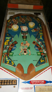 AQUARIUS WEDGE HEAD PINBALL MACHINE PROJECT GOTTLIEB 1970