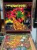 COUNTERFORCE GOTTLIEB WIDE BODY PINBALL MACHINE 1980 - 2