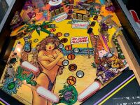 SPRING BREAK PINBALL MACHINE GOTTLIEB 1987 - 12