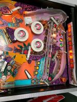 SPRING BREAK PINBALL MACHINE GOTTLIEB 1987 - 14