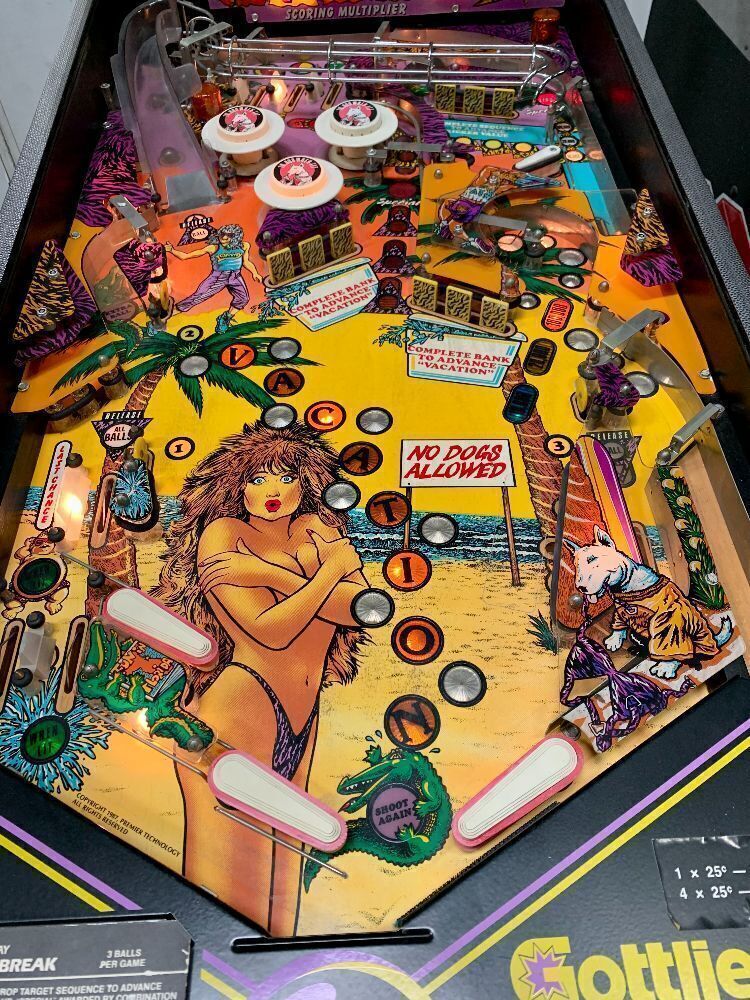 SPRING BREAK PINBALL MACHINE GOTTLIEB 1987