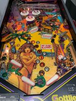 SPRING BREAK PINBALL MACHINE GOTTLIEB 1987 - 17