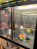 TOY HOUSE PLUSH CLAW CRANE MACHINE ET - 2