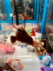 CHALLENGER PLUSH CLAW CRANE MACHINE #2 - 30” - 4