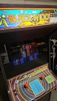 BLACK WIDOW COLOR VECTOR CLASSIC ARCADE GAME ATARI DEDICATED - 3