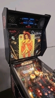 DIAMOND LADY CLASSIC PINBALL MACHINE GOTTLIEB RARE!! - 6