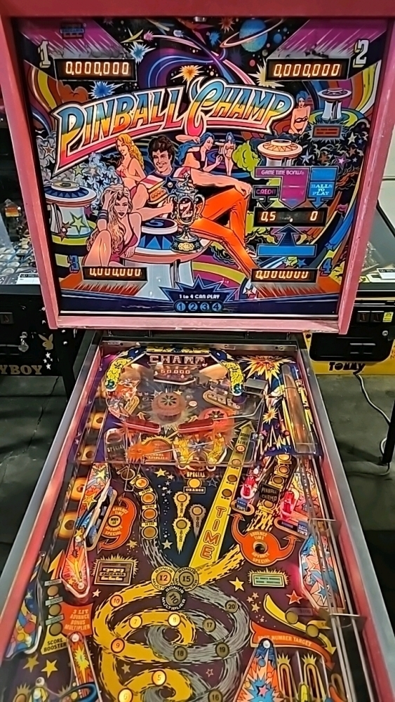 PINBALL CHAMP PINBALL MACHINE ZACCARIAH