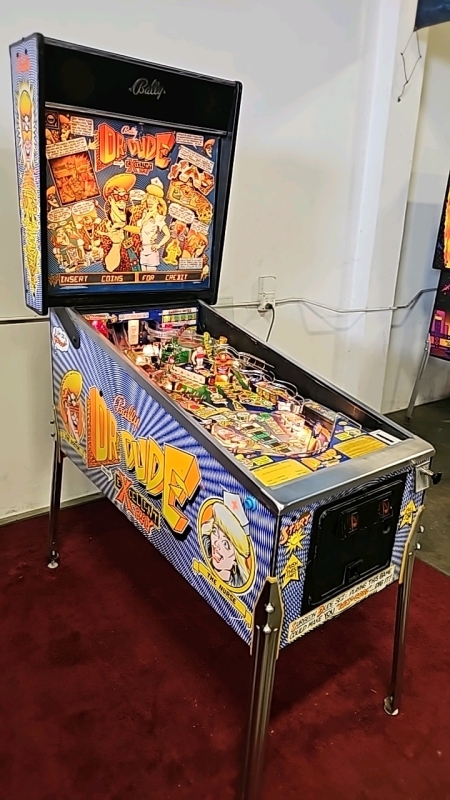 DR. DUDE and his EXCELLENT RAY PINBALL MACHINE BALLY 1990