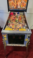 DR. DUDE and his EXCELLENT RAY PINBALL MACHINE BALLY 1990 - 8