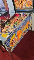 DR. DUDE and his EXCELLENT RAY PINBALL MACHINE BALLY 1990 - 12