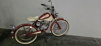 WHIZZER PANTHER RED/WHITE MOTORIZED BICYCLE - 2