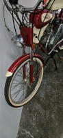 WHIZZER PANTHER RED/WHITE MOTORIZED BICYCLE - 5