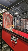 NBA HOOPS CHICAGO BULLS BASKETBALL ARCADE GAME ICE - 3