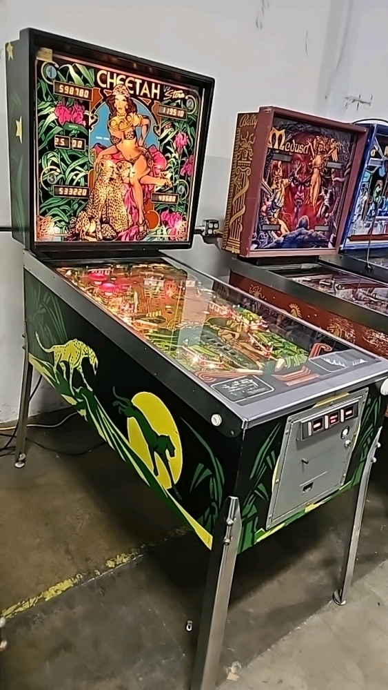 CHEETAH CLASSIC PINBALL MACHINE STERN 1980