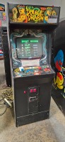 DOUBLE DRAGON CLASSIC TAITO UPRIGHT ARCADE GAME - 3