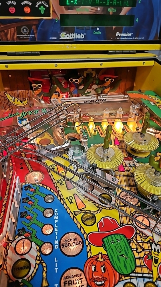 CACTUS JACK'S PINBALL MACHINE GOTTLIEB 1991