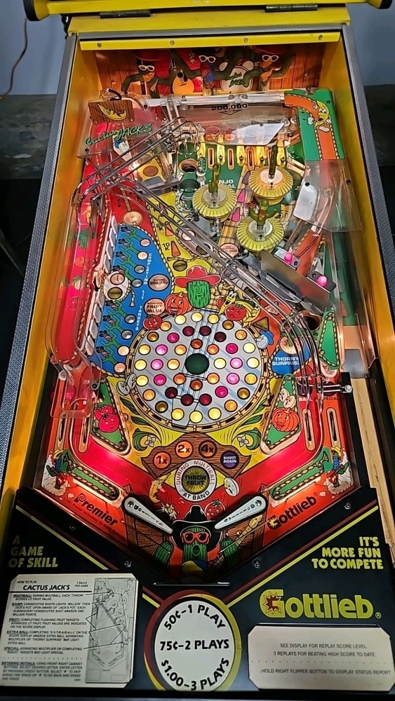 CACTUS JACK'S PINBALL MACHINE GOTTLIEB 1991