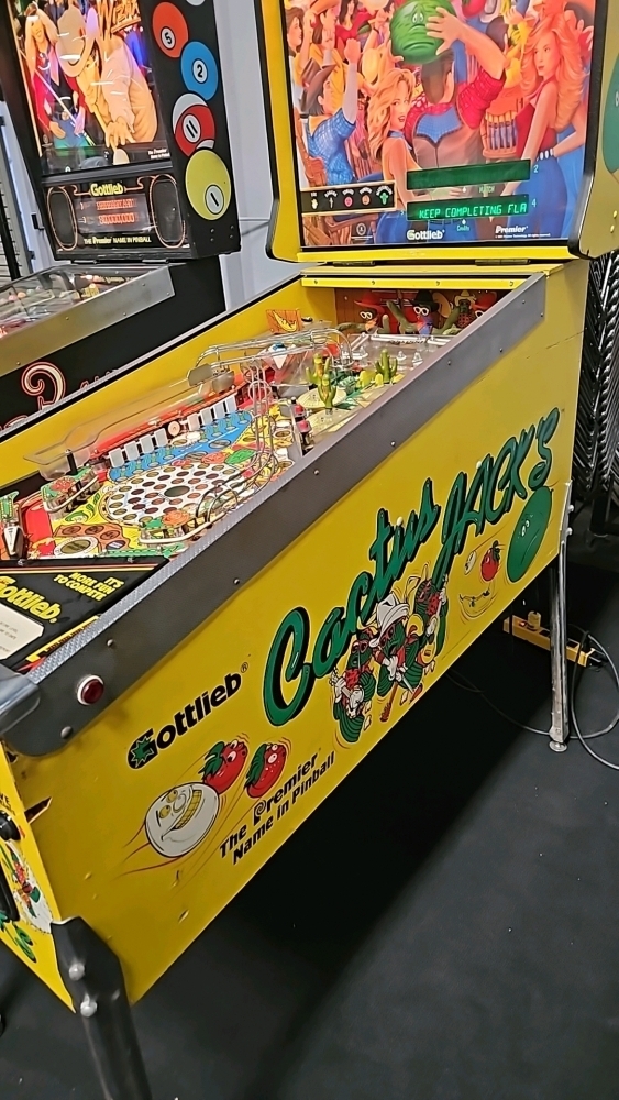 CACTUS JACK'S PINBALL MACHINE GOTTLIEB 1991