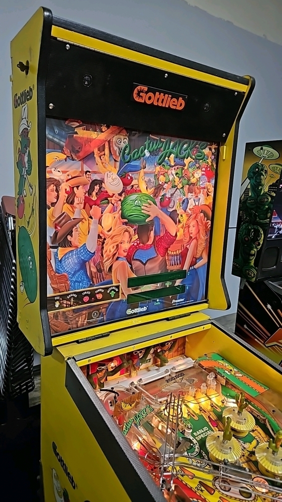 CACTUS JACK'S PINBALL MACHINE GOTTLIEB 1991