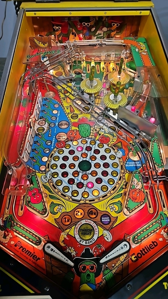 CACTUS JACK'S PINBALL MACHINE GOTTLIEB 1991