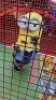 MINION'S SOCCER DELUXE SPORTS REDEMPTION GAME COASTAL AMUSEMENT - 5