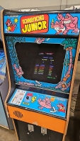 DONKEY KONG JR. UPRIGHT ARCADE GAME NINTENDO 1982 - 3