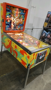 GENIE CLASSIC WIDE BODY PINBALL MACHINE GOTTLIEB SYSTEM 1