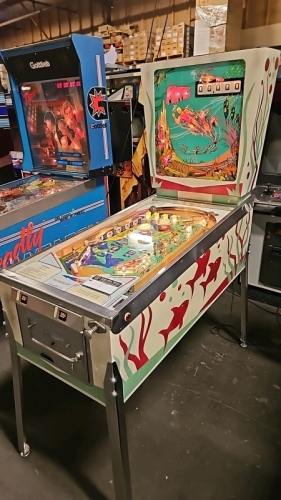 ATLANTIS WEDGE HEAD PINBALL MACHINE GOTTLIEB 1975
