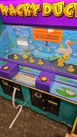 WACKY DUCKS 2 PLAYER TICKET REDEMPTION GAME ICE - 3